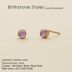 Stainless Steel Birthstone Earrings