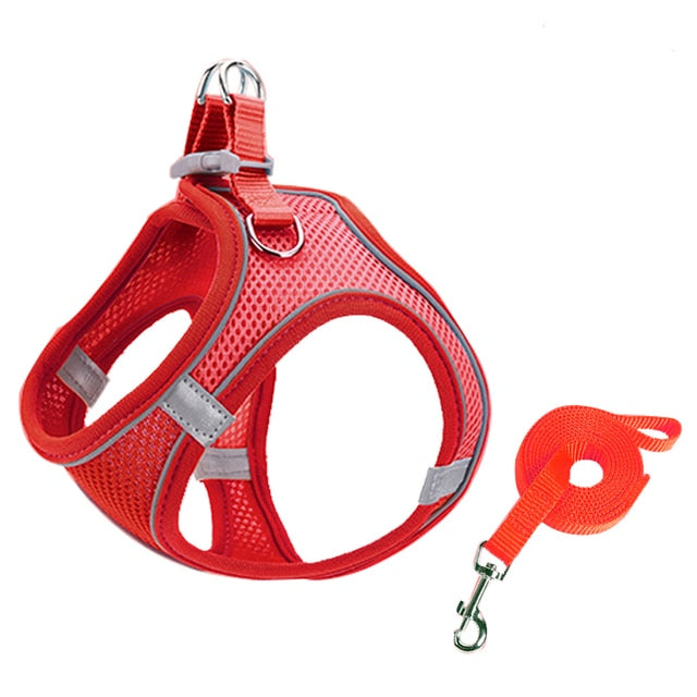 Escape Proof Small Pet Harness Leash Set