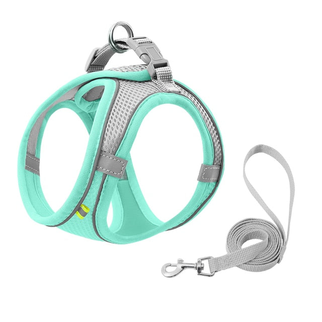 Escape Proof Small Pet Harness Leash Set