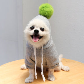 Fruit Pet Coat Hoodies