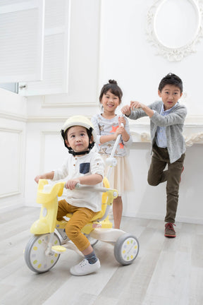 iimo x Macaron Foldable Tricycle (Limited Edition)