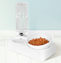 Pet Feeder and Water