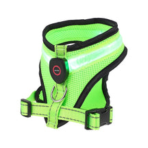 LED Light Dog Harness