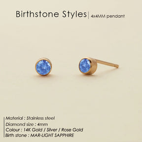 Stainless Steel Birthstone Earrings