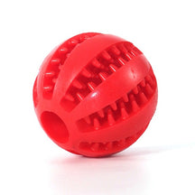 Watermelon Ball Dog Toy