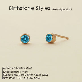 Stainless Steel Birthstone Earrings