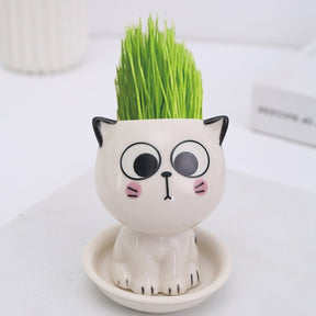 Mini Cat Shaped Cartoon Ceramic Flowerpot