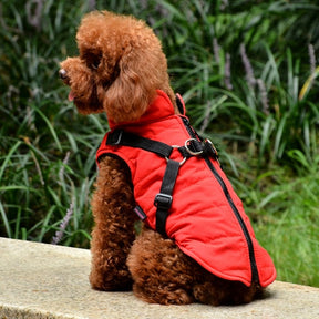 Waterproof Pet Coat With Harness