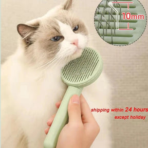 One-key Pet Hair Removal Brush