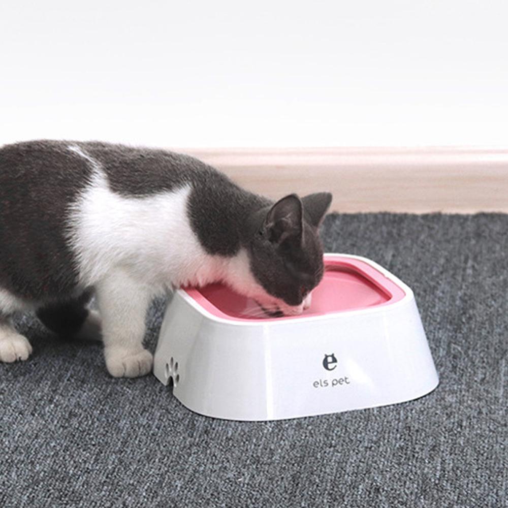 Dog Drinking Water Bowl