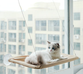 Cat Hanging Bed Shelf