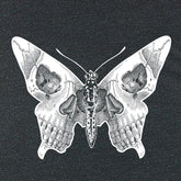 Butterfly skull