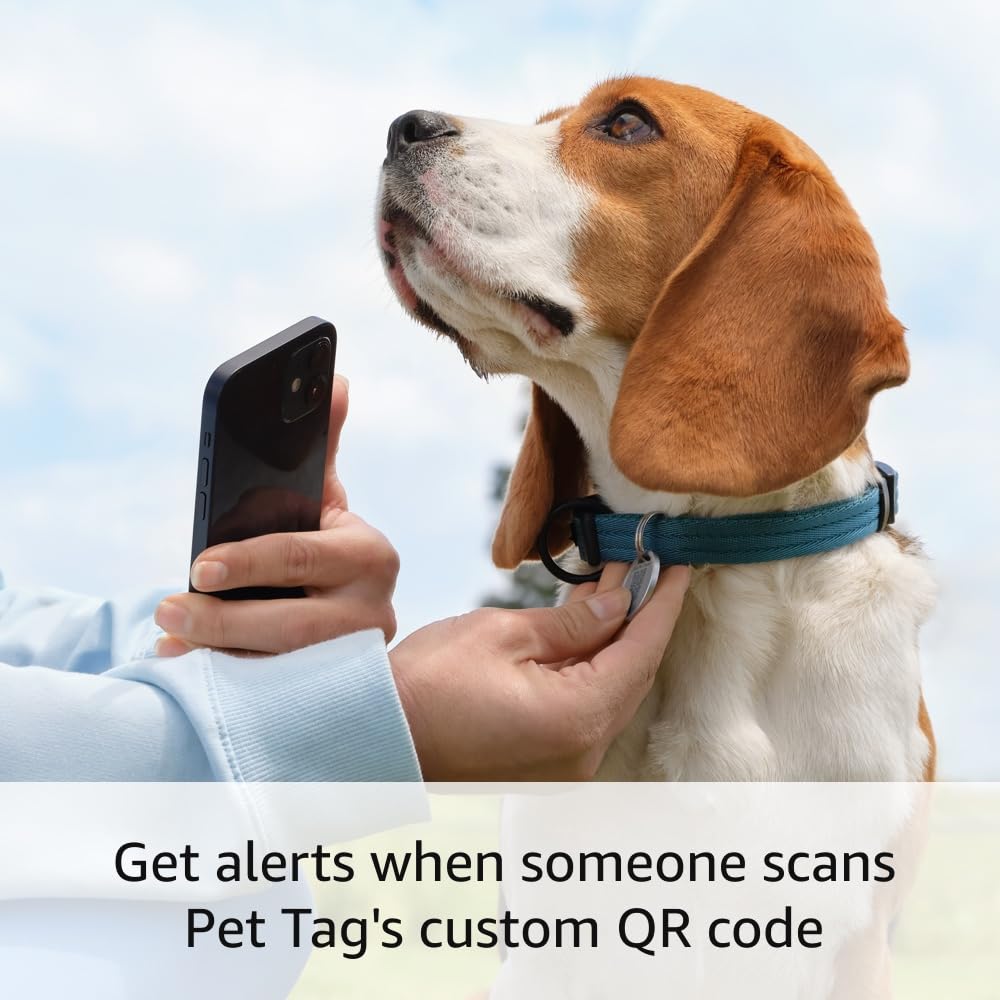 Introducing Ring Pet Tag | Easy-to-use tag with QR code | Real-time scan alerts | Shareable Pet Profile | No subscription or fees