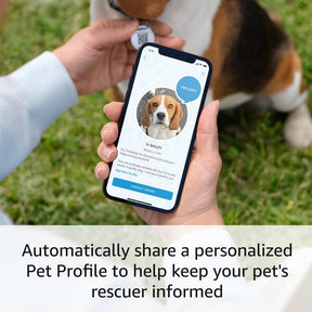 Introducing Ring Pet Tag | Easy-to-use tag with QR code | Real-time scan alerts | Shareable Pet Profile | No subscription or fees