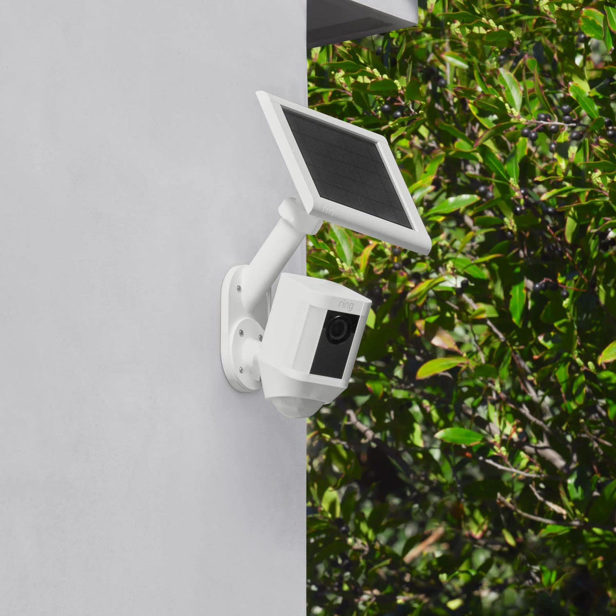 Ring Wall Mount for Solar Panels and Cams - White