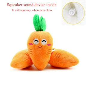 Carrot Pet Toy