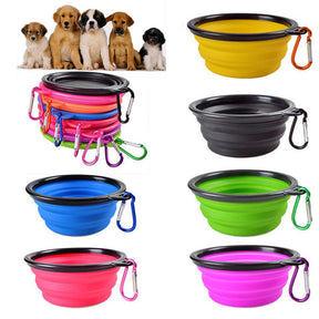 Colorful Pet Bowl