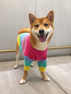 Puppy Knitted Rainbow Sweater