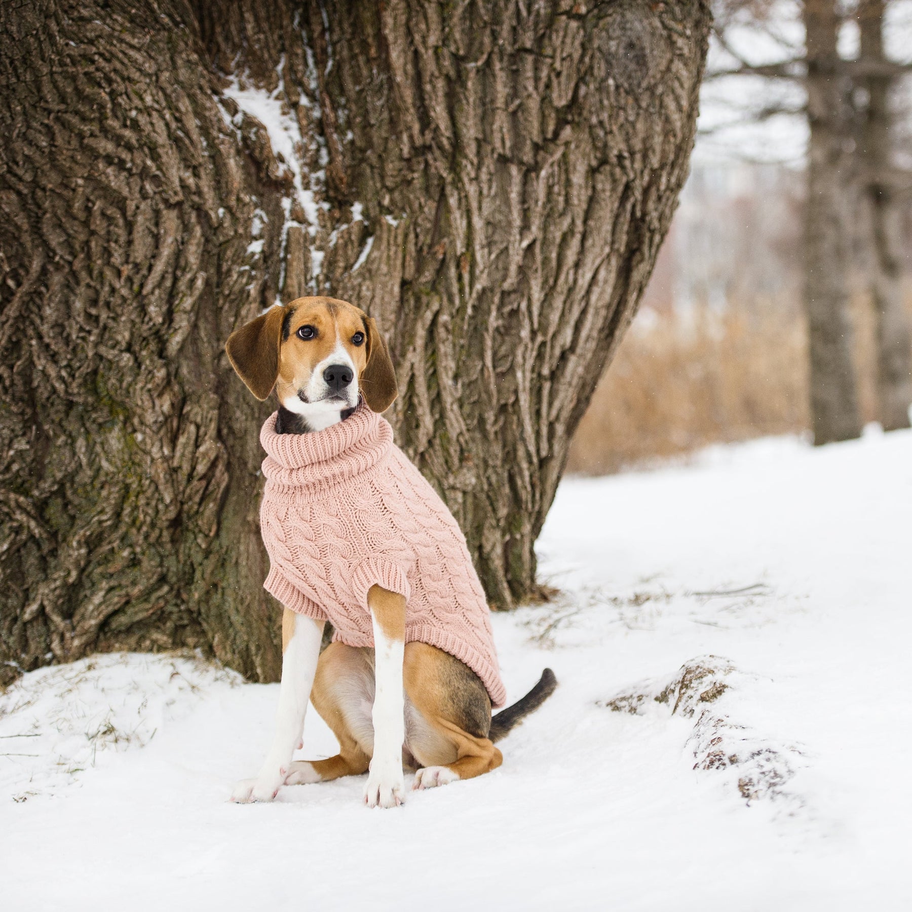 Snuggly Chalet Pet Sweater