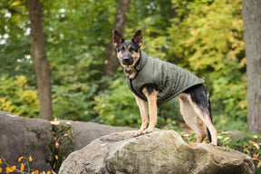 Dark Camo Army Dog Parka